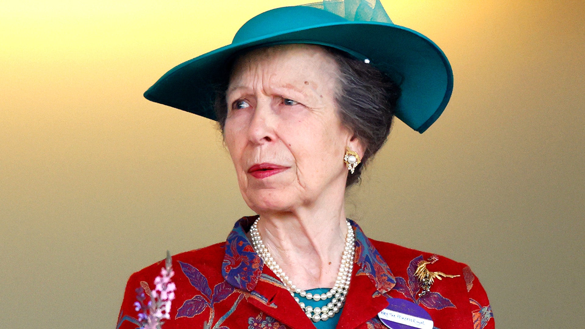 Princess Anne Suffering Memory Loss After Horse Riding Accident Source